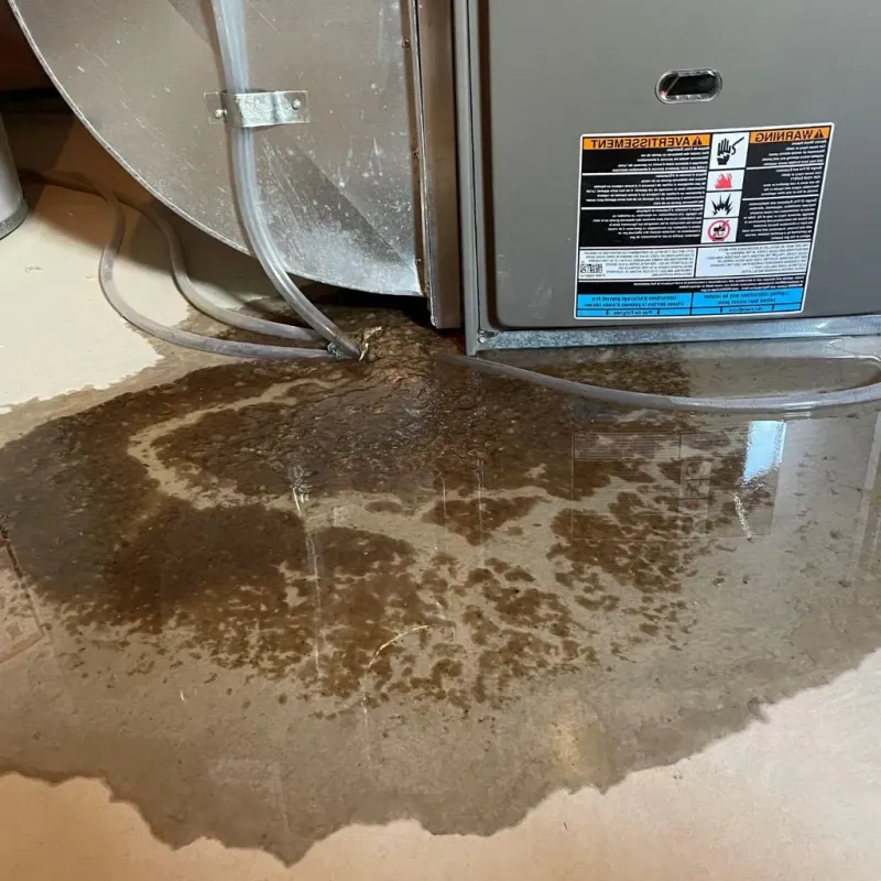 Pipe Burst and Leak Restoration in Mayfield, OH